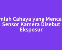 Jumlah Cahaya yang Mencapai Sensor Kamera Disebut Eksposur