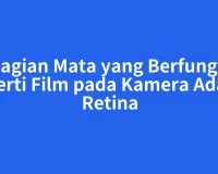 Bagian Mata yang Berfungsi seperti Film pada Kamera Adalah Retina