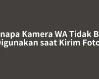 Kenapa Kamera WA Tidak Bisa Digunakan saat Kirim Foto?