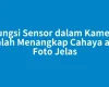 Fungsi Sensor dalam Kamera Adalah Menangkap Cahaya agar Foto Jelas